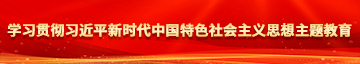 欧美黄色日比学习贯彻习近平新时代中国特色社会主义思想主题教育